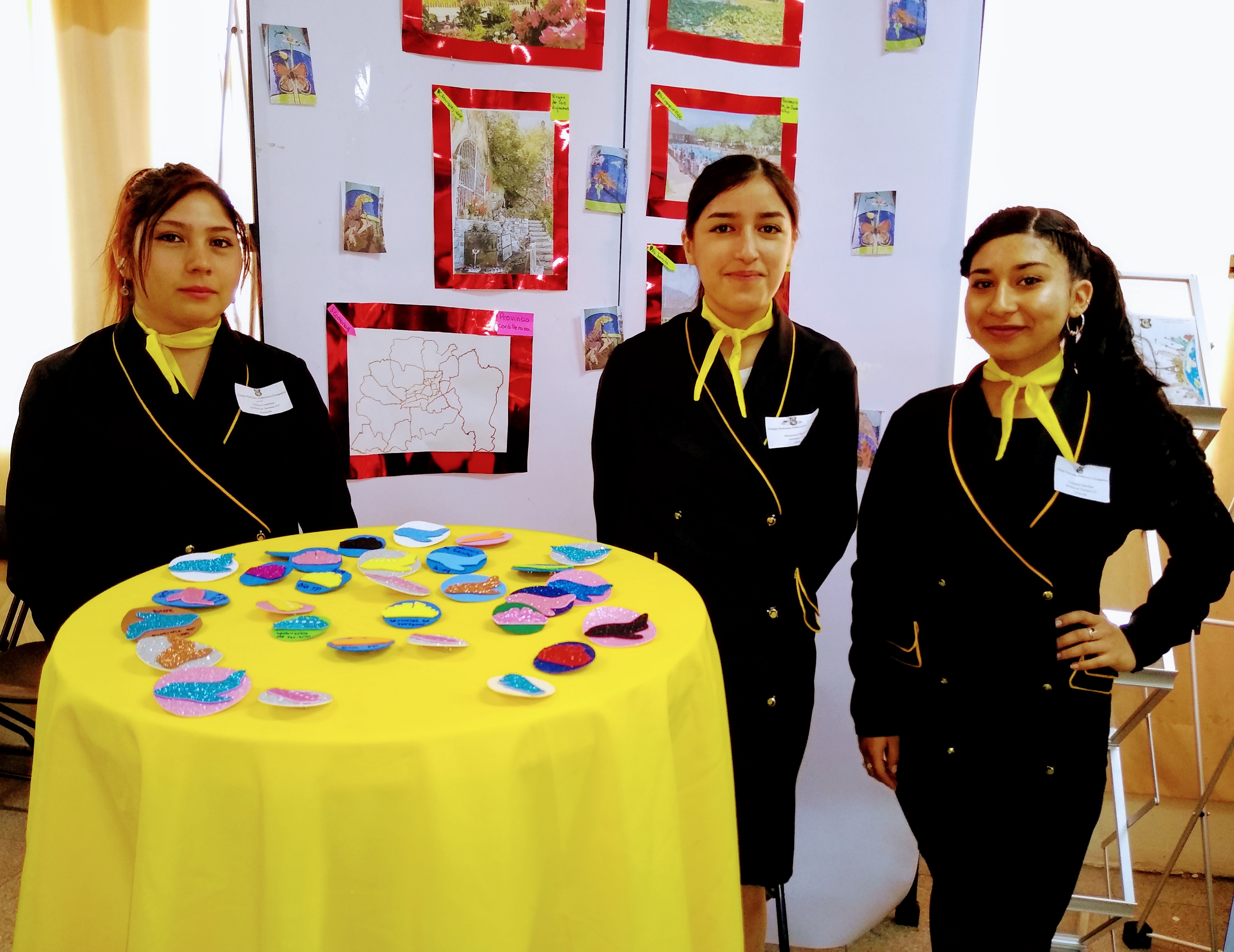 Área Técnico Profesional